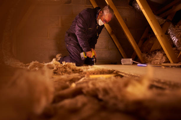 Best Residential Insulation in Harrisonburg, VA